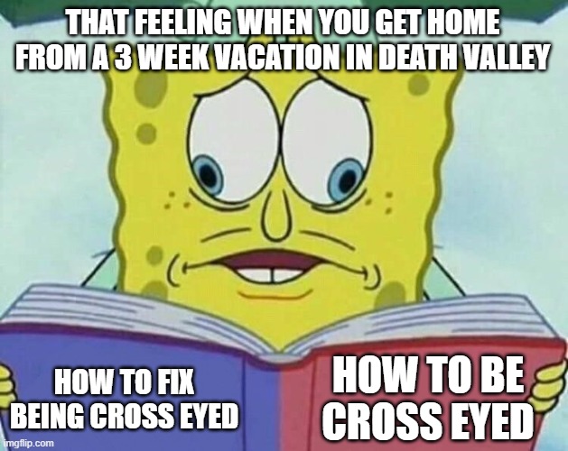 cross eyed spongebob | THAT FEELING WHEN YOU GET HOME FROM A 3 WEEK VACATION IN DEATH VALLEY; HOW TO BE CROSS EYED; HOW TO FIX BEING CROSS EYED | image tagged in cross eyed spongebob | made w/ Imgflip meme maker