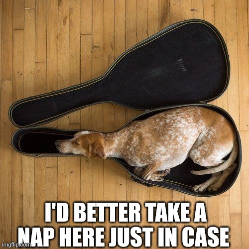 I'd Better Take A Nap Here Just In Case | I'D BETTER TAKE A NAP HERE JUST IN CASE | image tagged in chrisjoines1 | made w/ Imgflip meme maker