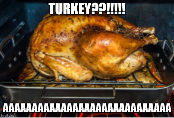 AAAAAAAAAAAAAAAAAAAAAAAAAAAAAAAAAAAAAAAAAAAAAAAAAAAAAAAAAAAAAAAA | TURKEY??!!!!! AAAAAAAAAAAAAAAAAAAAAAAAAAAAA | image tagged in aaaaaaaaaaaaaaaaaaaaaaaaaaaaaaaaaaaaaaaaaaaaaaaaaaaaaaaaaaaaaaaa | made w/ Imgflip meme maker