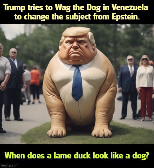 Trump attempts to Wag the Dog to deflect from Epstein | Trump tries to Wag the Dog in Venezuela 
to change the subject from Epstein. When does a lame duck look like a dog? | image tagged in trump attempts to wag the dog to deflect from epstein,trump,wag the dog,venezuela,jeffrey epstein | made w/ Imgflip meme maker