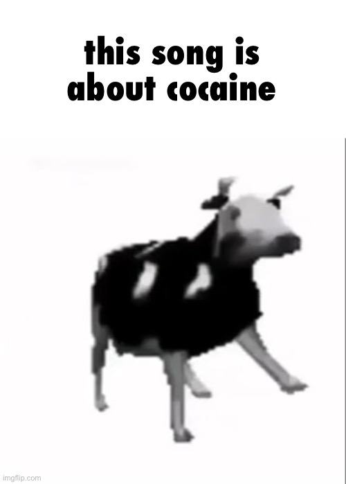 dancing polish cow | this song is about cocaine | image tagged in dancing polish cow | made w/ Imgflip meme maker