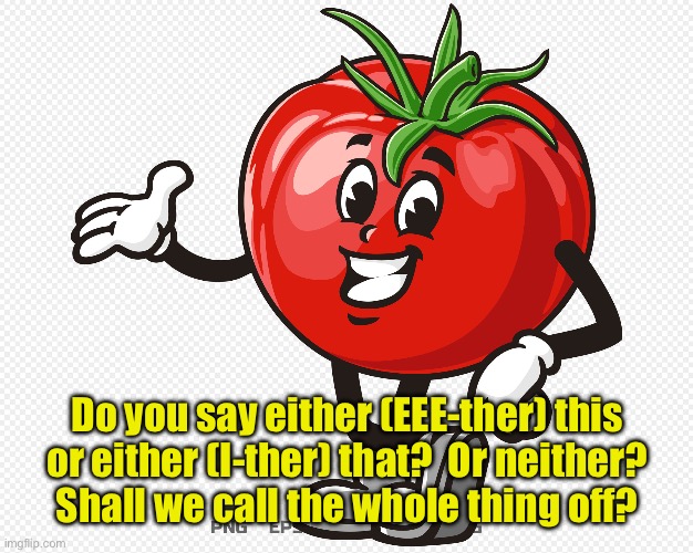 Either this | Do you say either (EEE-ther) this or either (I-ther) that?  Or neither?  Shall we call the whole thing off? | image tagged in either | made w/ Imgflip meme maker