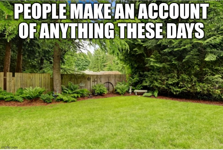 b | PEOPLE MAKE AN ACCOUNT OF ANYTHING THESE DAYS | image tagged in sunny backyard | made w/ Imgflip meme maker
