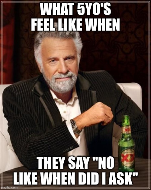 The Most Interesting Man In The World | WHAT 5YO'S FEEL LIKE WHEN; THEY SAY "NO LIKE WHEN DID I ASK" | image tagged in memes,the most interesting man in the world,fake tags,drake hotline bling,two buttons,batman slapping robin | made w/ Imgflip meme maker