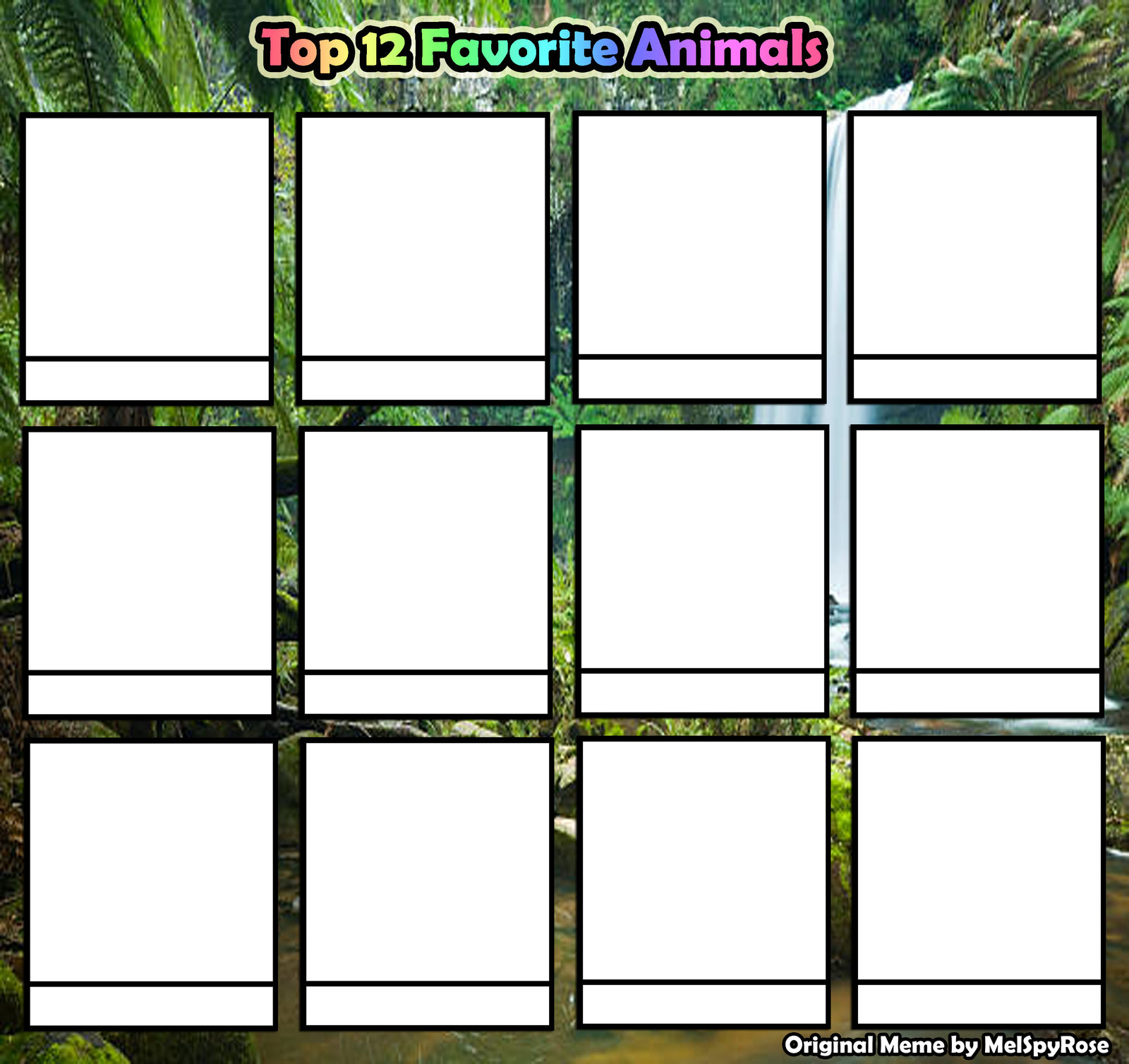 top 12 favorite animals Blank Meme Template
