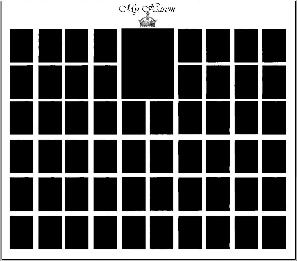 my wife harem Blank Meme Template