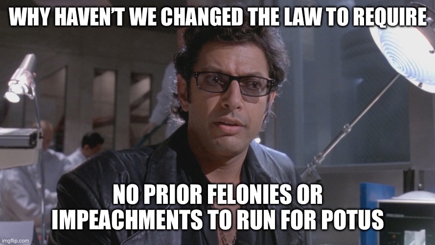 No One Ever Asked If We Should | WHY HAVEN’T WE CHANGED THE LAW TO REQUIRE; NO PRIOR FELONIES OR IMPEACHMENTS TO RUN FOR POTUS | image tagged in no one ever asked if we should | made w/ Imgflip meme maker