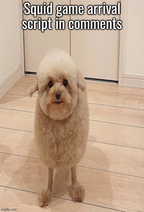 Squid game arrival script in comments | made w/ Imgflip meme maker