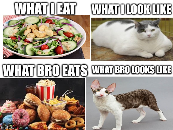 WHAT I EAT WHAT BRO EATS WHAT I LOOK LIKE WHAT BRO LOOKS LIKE | made w/ Imgflip meme maker