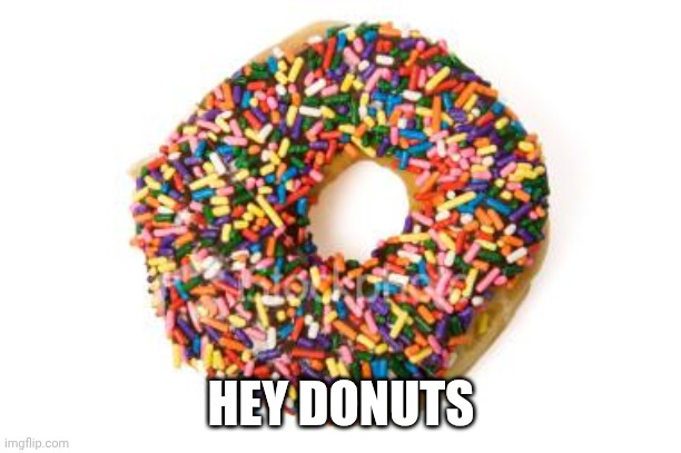 donut | HEY DONUTS | image tagged in donut | made w/ Imgflip meme maker