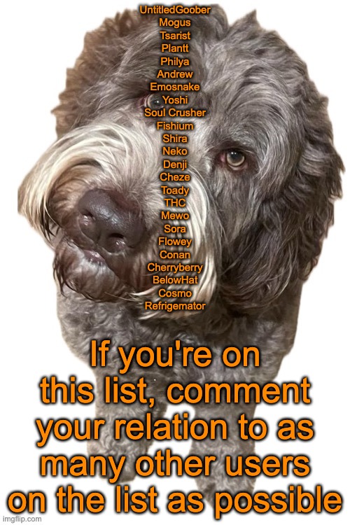 Norther's dog | UntitledGoober
Mogus
Tsarist
Plantt
Philya
Andrew
Emosnake
Yoshi
Soul Crusher
Fishium
Shira
Neko
Denji
Cheze
Toady
THC
Mewo
Sora
Flowey
Conan
Cherryberry
BelowHat
Cosmo
Refrigemator; If you're on this list, comment your relation to as many other users on the list as possible | image tagged in norther's dog | made w/ Imgflip meme maker