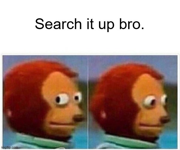 Monkey Puppet Meme | Search it up bro. | image tagged in memes,monkey puppet | made w/ Imgflip meme maker