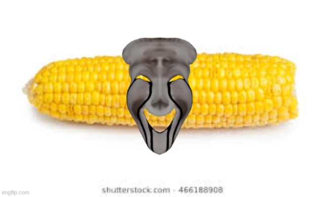 Corn on the cob  | image tagged in corn on the cob | made w/ Imgflip meme maker