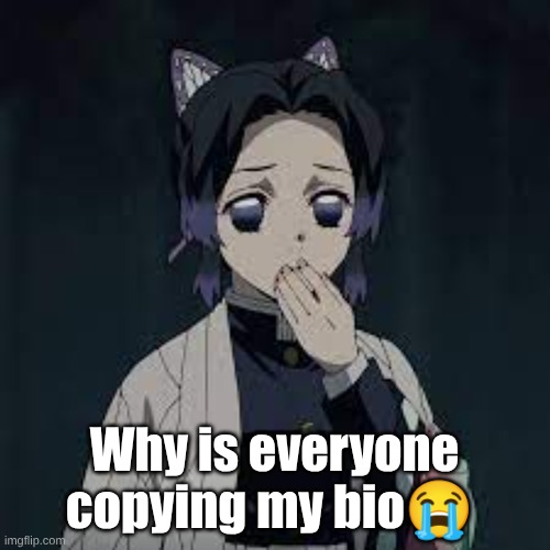 wait u have a point | Why is everyone copying my bio😭 | image tagged in wait u have a point | made w/ Imgflip meme maker