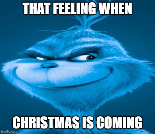 grinch about to steal christmas soon man | THAT FEELING WHEN; CHRISTMAS IS COMING | image tagged in blue grinch,christmas | made w/ Imgflip meme maker