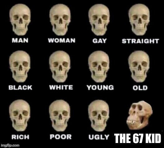 True | THE 67 KID | image tagged in idiot skull | made w/ Imgflip meme maker