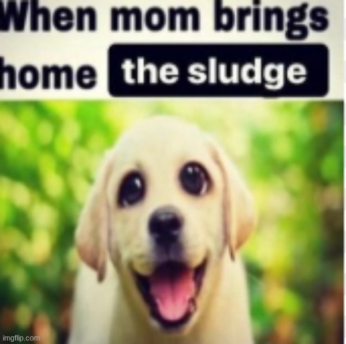 when mom brings home the S L U D G E | made w/ Imgflip meme maker