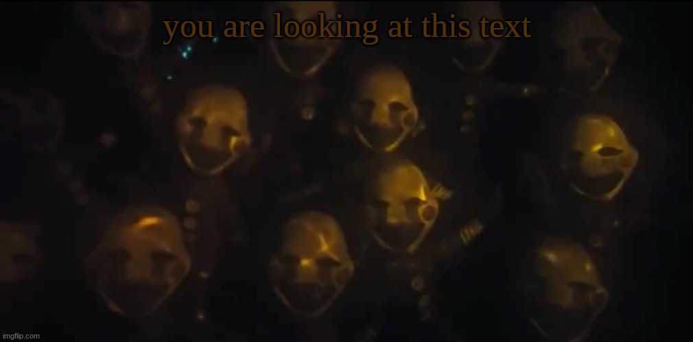 the swarm is here | you are looking at this text | image tagged in the swarm is here | made w/ Imgflip meme maker