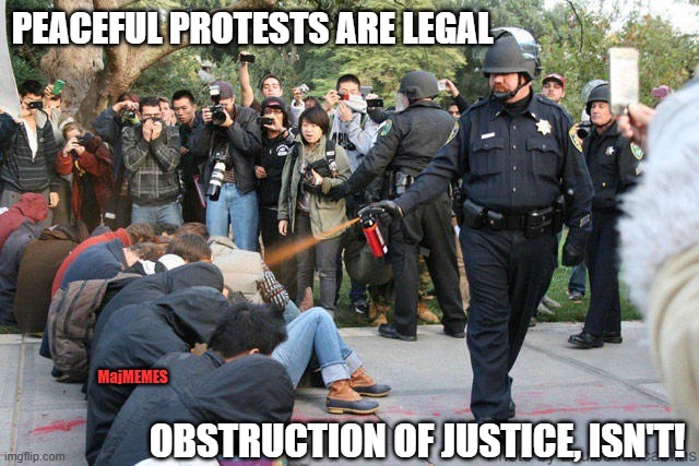 protestor obstruction | PEACEFUL PROTESTS ARE LEGAL; OBSTRUCTION OF JUSTICE, ISN'T! MajMEMES | image tagged in pepper spray cop,obstruction,protestor | made w/ Imgflip meme maker