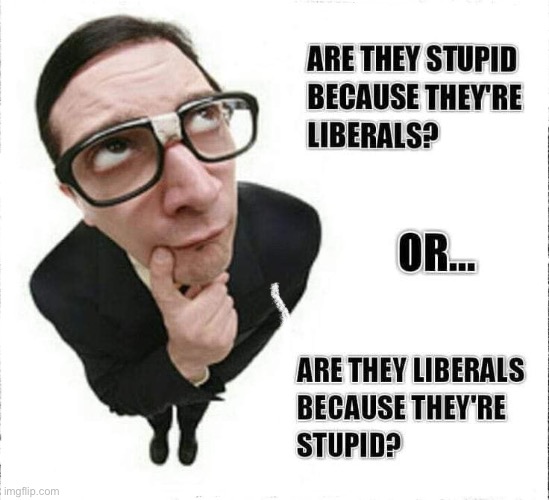 Which Is It? | image tagged in libtards,liberal privilege,liberal logic,liberal hypocrisy,human stupidity,duhhh dumbass | made w/ Imgflip meme maker
