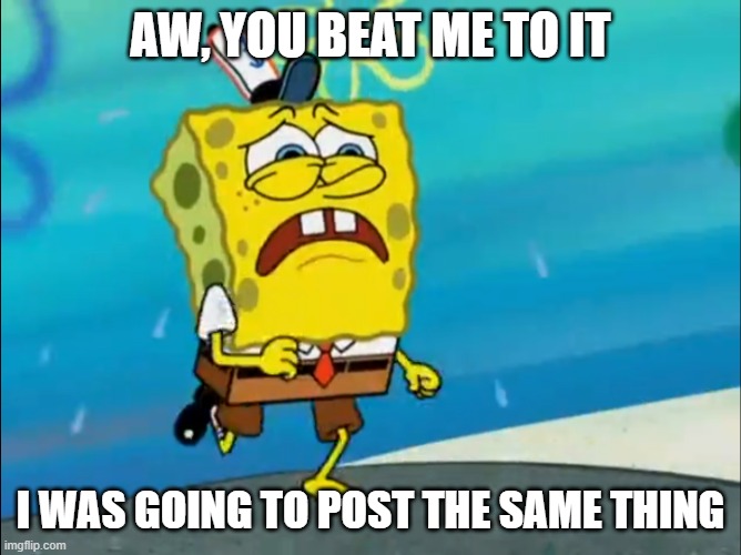 When you stayed up too late, and you try to rush to the bus. | AW, YOU BEAT ME TO IT I WAS GOING TO POST THE SAME THING | image tagged in when you stayed up too late and you try to rush to the bus | made w/ Imgflip meme maker