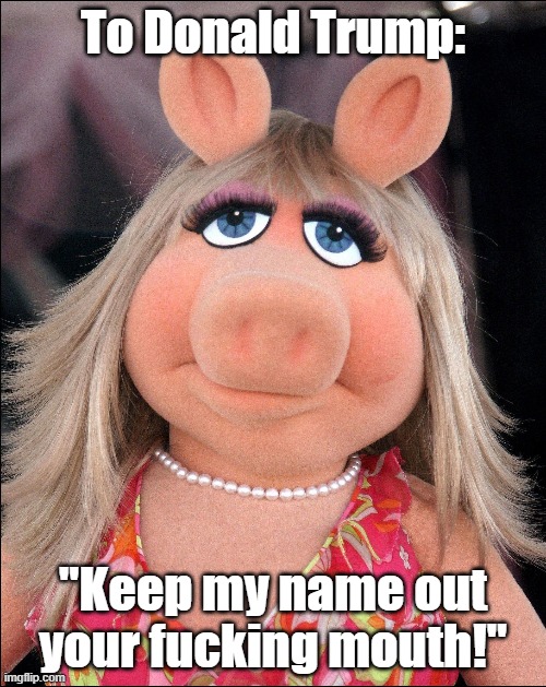 Miss Piggy To Trump | To Donald Trump:; "Keep my name out your fucking mouth!" | made w/ Imgflip meme maker