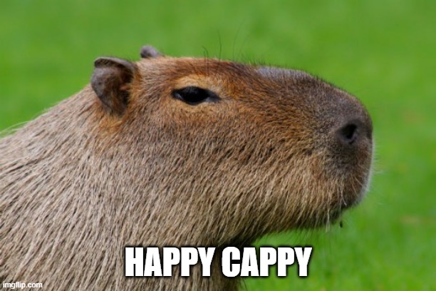 Anonymous Capybara | HAPPY CAPPY | image tagged in anonymous capybara | made w/ Imgflip meme maker