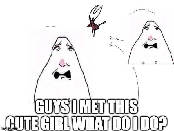 any ideas? | GUYS I MET THIS CUTE GIRL WHAT DO I DO? | image tagged in funny | made w/ Imgflip meme maker