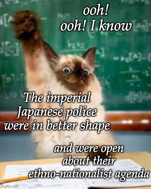 Raised hand cat | ooh! ooh! I know The imperial Japanese police were in better shape and were open about their ethno-nationalist agenda | image tagged in raised hand cat | made w/ Imgflip meme maker