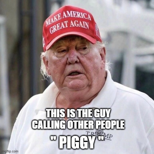 THIS IS THE GUY
CALLING OTHER PEOPLE; " PIGGY " | image tagged in trump,piggy | made w/ Imgflip meme maker