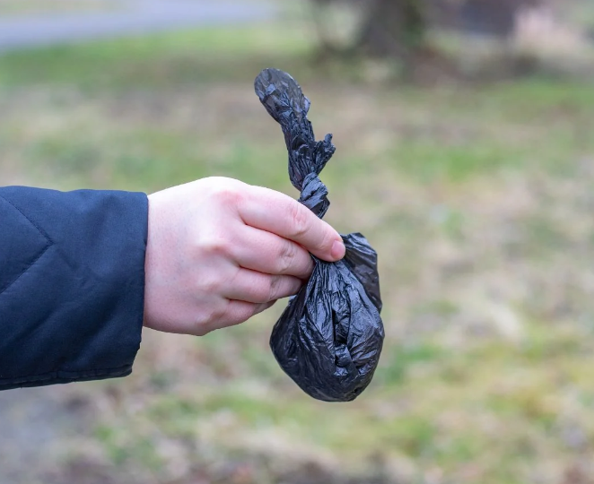 Doggie Poo Bag Blank Meme Template