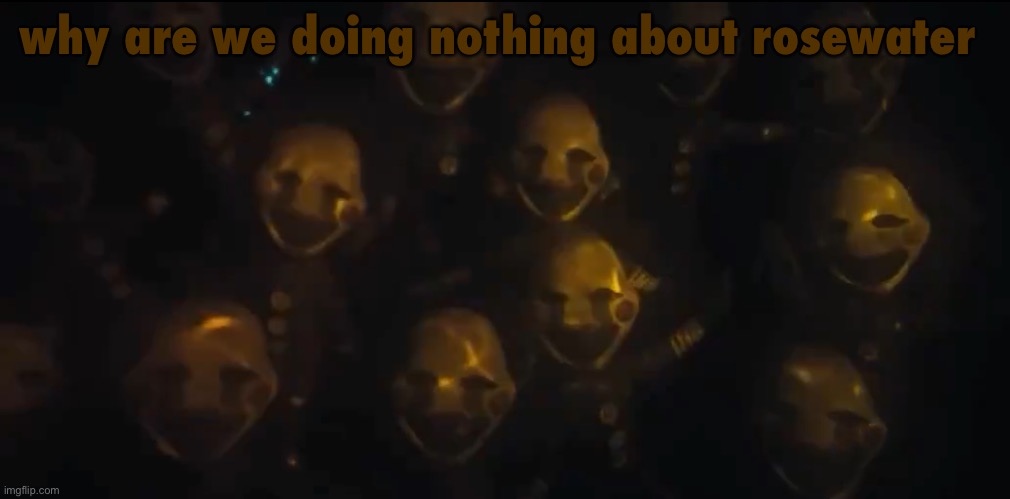 no one is doing shit | why are we doing nothing about rosewater | image tagged in the swarm is here | made w/ Imgflip meme maker