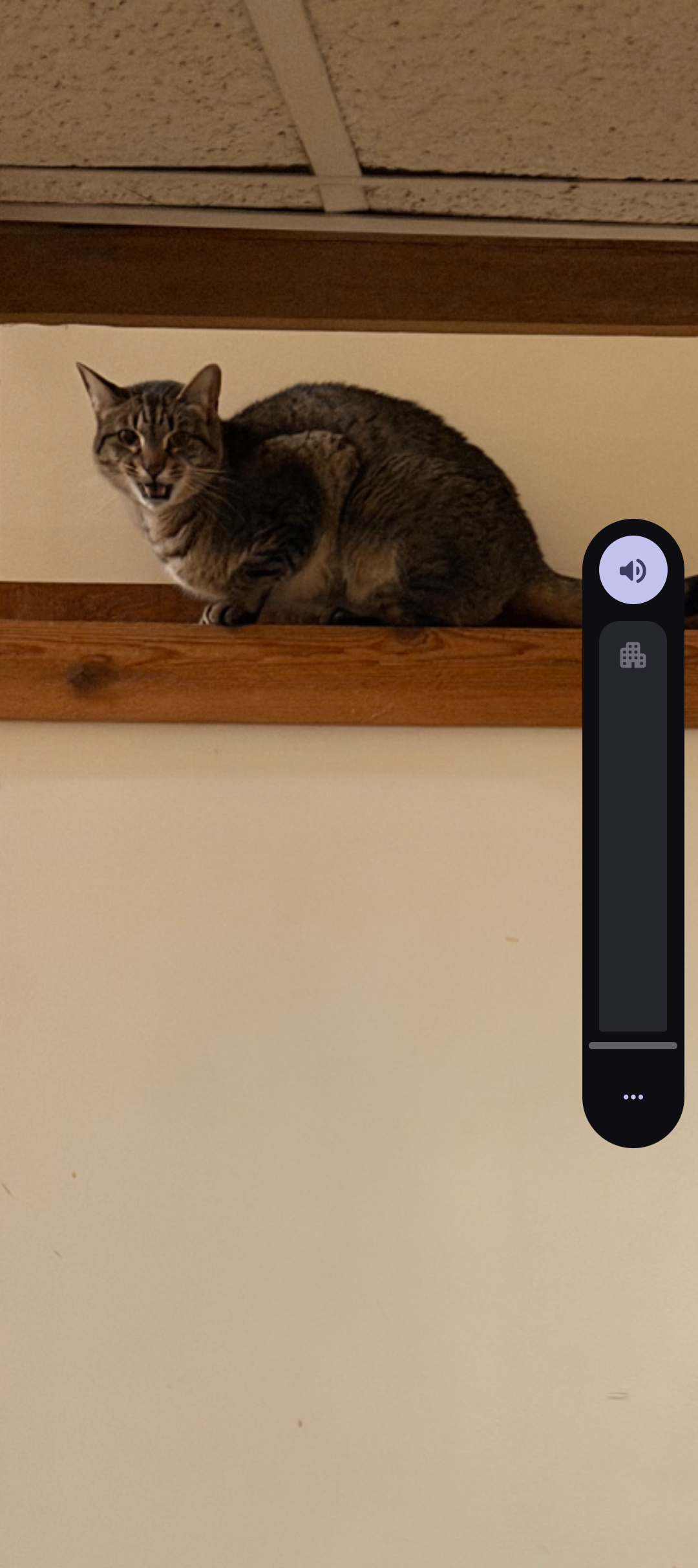 Basement tony turnt Blank Meme Template