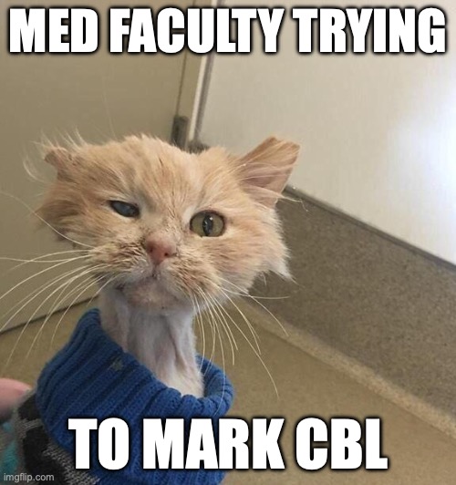 marking CBL | MED FACULTY TRYING; TO MARK CBL | image tagged in exhausted cat,case based learning,marking,medicine teaching,education,medical school | made w/ Imgflip meme maker