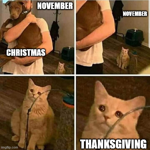 Sad Cat Holding Dog | NOVEMBER; NOVEMBER; CHRISTMAS; THANKSGIVING | image tagged in sad cat holding dog | made w/ Imgflip meme maker