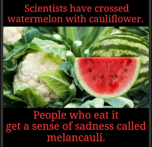 Sweetness of sad science | image tagged in bad joke | made w/ Imgflip meme maker