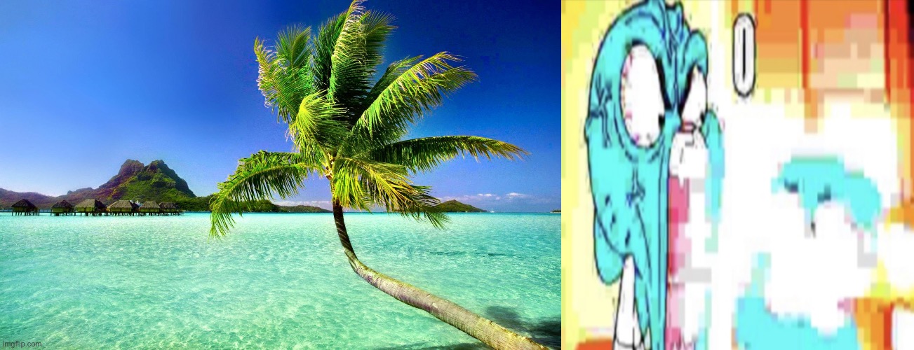 image tagged in palm tree,o | made w/ Imgflip meme maker