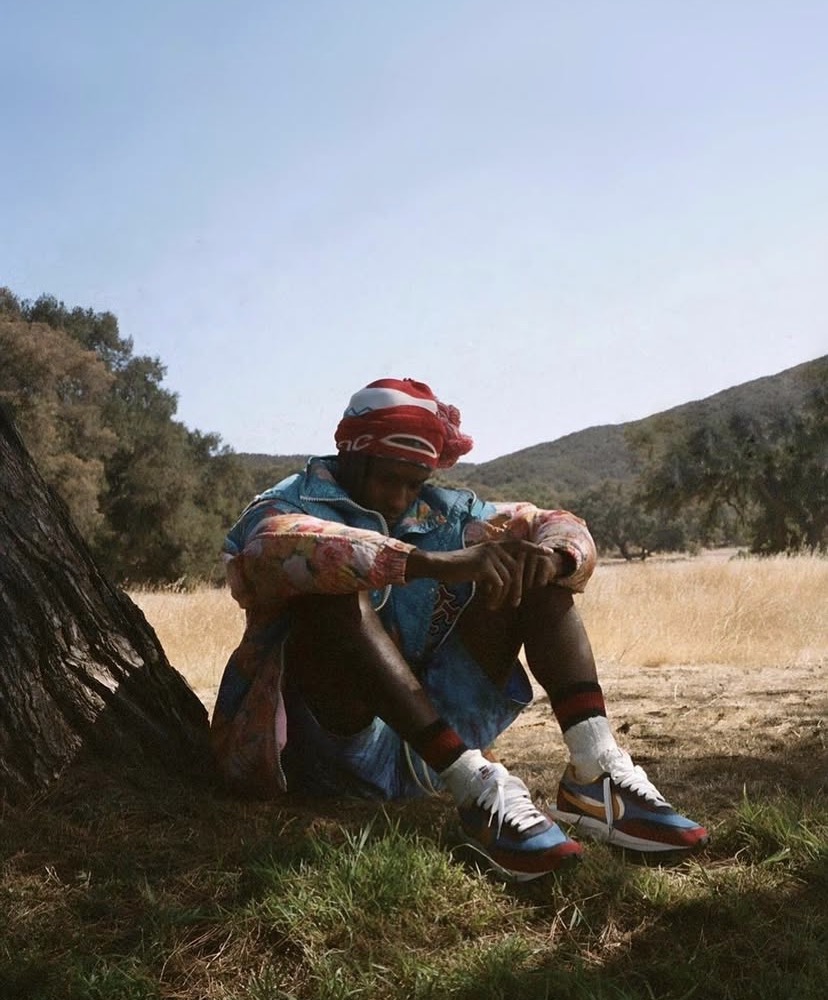 A$AP Rocky Blank Meme Template