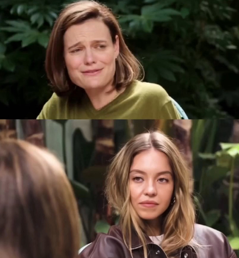 Snark vs RBF Blank Meme Template