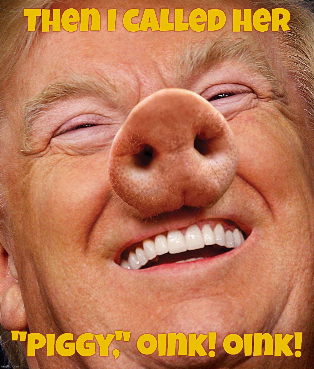 Ever get the feeling that the reason why trailer trash likes Trump is because he acts like trash like them? | Then I called her "Piggy," oink! oink! | image tagged in trump pig,trump,piggy,he called the reporter  piggy,class act,the ugly american cometh | made w/ Imgflip meme maker