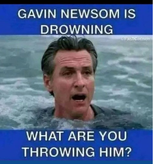 Gavin Newsom is drowning Blank Meme Template