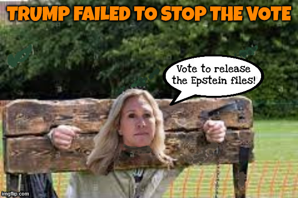 Trump failed | TRUMP FAILED TO STOP THE VOTE | image tagged in trump failed,discharge pettition,adelita grijalva,dump trump,vacate johnson,impeach trump | made w/ Imgflip meme maker