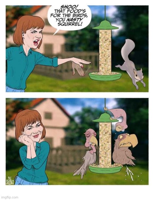 Weird birds… | image tagged in comics,drawer of drawings,woman,bird feeder,squirrel | made w/ Imgflip meme maker