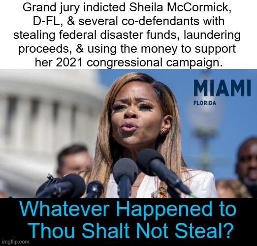 “Using disaster relief funds for self-enrichment is a particularly selfish, cynical crime,” said Attorney General Pamela Bondi. | Grand jury indicted Sheila McCormick, 
D-FL, & several co-defendants with
stealing federal disaster funds, laundering 
proceeds, & using the money to support 
her 2021 congressional campaign. Whatever Happened to 
Thou Shalt Not Steal? | image tagged in stealing,5 million,faces up to 53 years in prison,grand jury,congress,woman | made w/ Imgflip meme maker