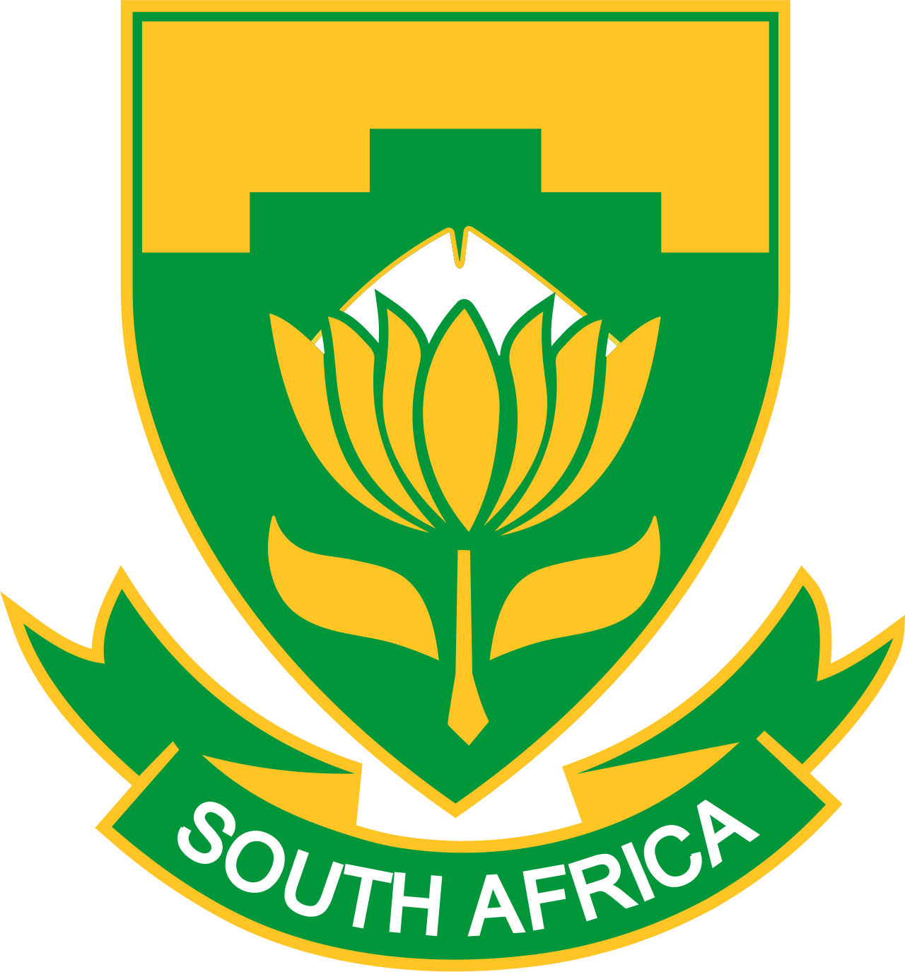 South Africa National Football Team Blank Meme Template