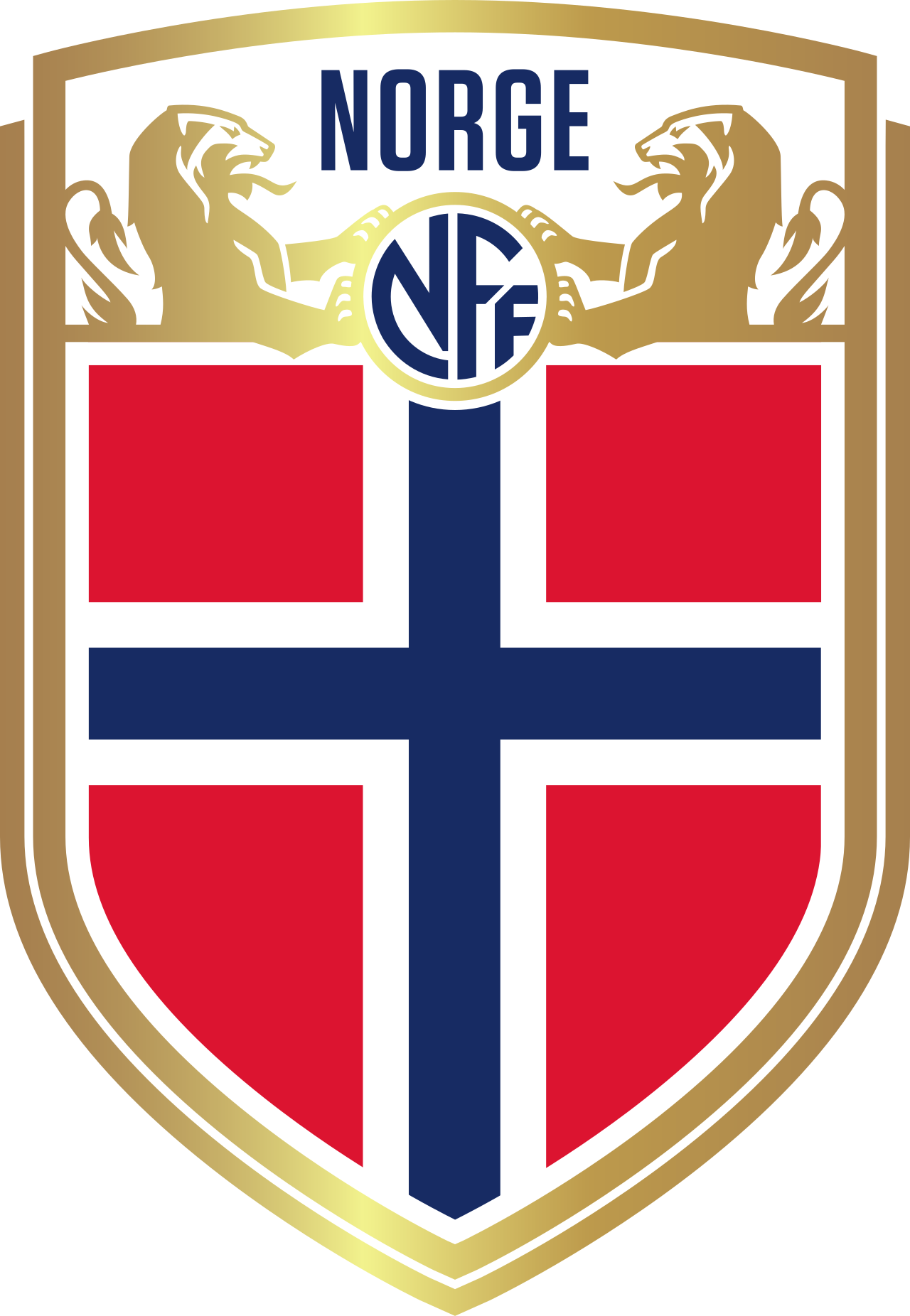Norway National Football Team Blank Meme Template