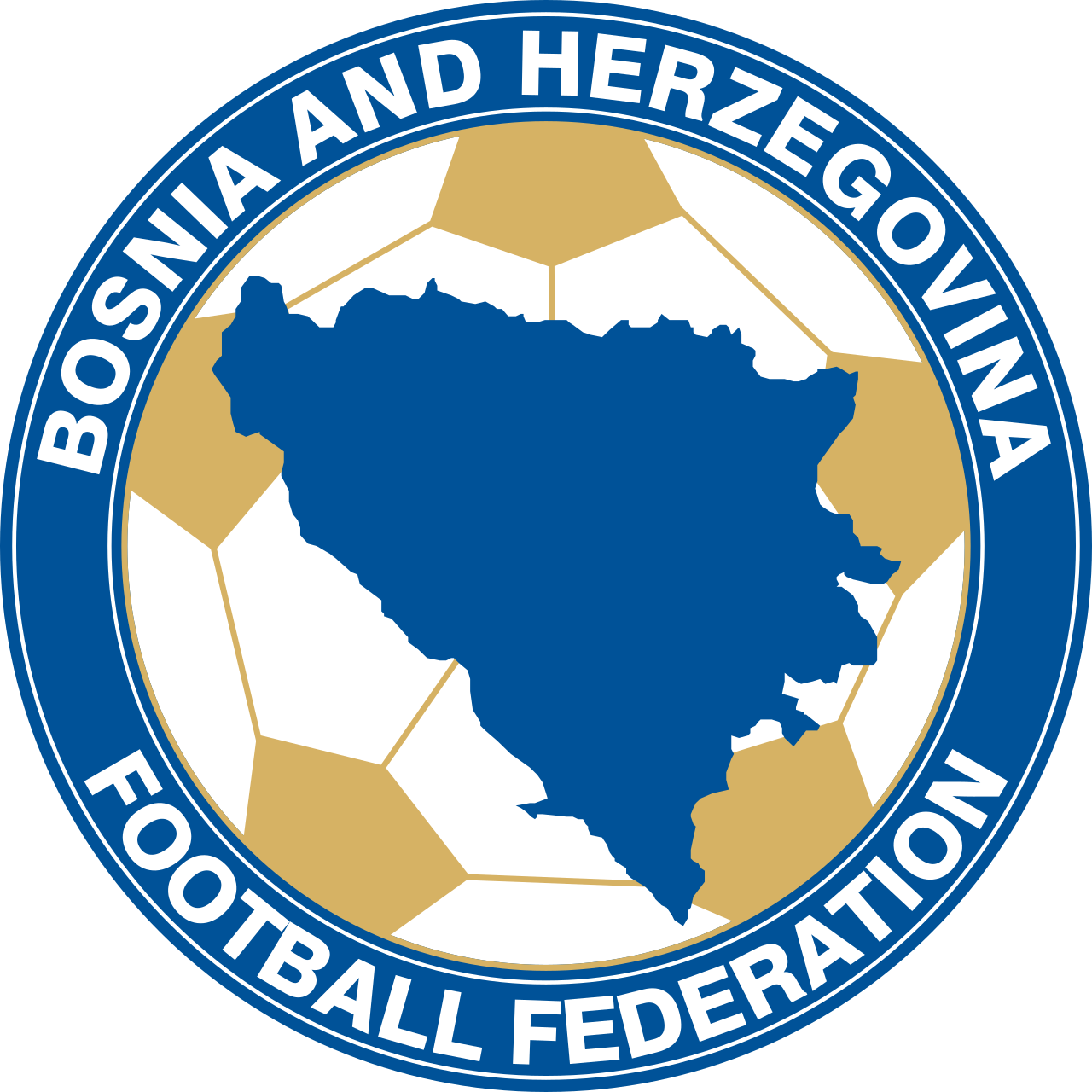 Bosnia and Herzegovina National Football Team Blank Meme Template