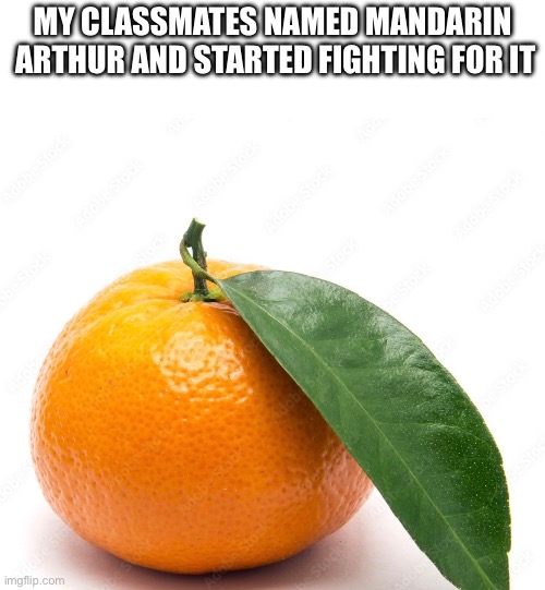 ? | MY CLASSMATES NAMED MANDARIN  ARTHUR AND STARTED FIGHTING FOR IT | image tagged in orange,middle school,tag,memes | made w/ Imgflip meme maker