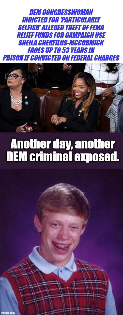 I'm guessing 85% of dem politicians are criminals. | DEM CONGRESSWOMAN INDICTED FOR 'PARTICULARLY SELFISH' ALLEGED THEFT OF FEMA RELIEF FUNDS FOR CAMPAIGN USE
SHEILA CHERFILUS-MCCORMICK FACES UP TO 53 YEARS IN PRISON IF CONVICTED ON FEDERAL CHARGES; Another day, another DEM criminal exposed. | image tagged in memes,bad luck brian | made w/ Imgflip meme maker