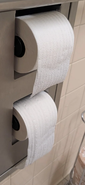 Bog Roll Correct Way Blank Meme Template